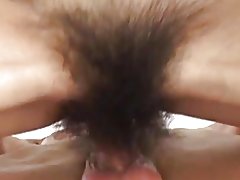 Bvr הכוס hairyest