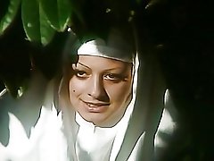 הטקסית שיעורים